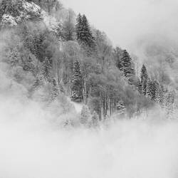 The foggy mountain (Renate Wasinger) - Muzeo.com