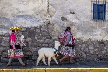 The goat celebration (Avital Hershkovitz) - Muzeo.com