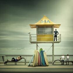 The life guard (Adrian Donoghue) - Muzeo.com