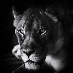 The Look (Jerry Berry ) - Muzeo.com