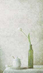 The Nearness of You (Delphine Devos) - Muzeo.com