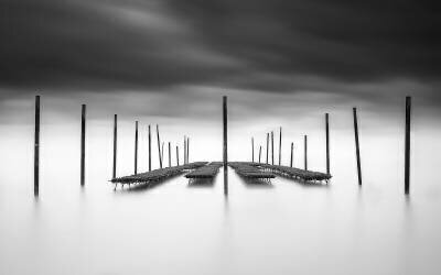 The Oyster Bar (Christophe Staelens) - Muzeo.com