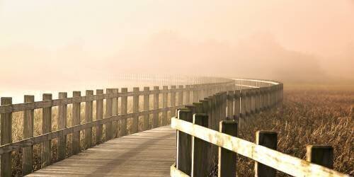 The Path gets brighter. (Leif Londal) - Muzeo.com