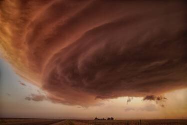 The Pink Storm (Alexander Fisher) - Muzeo.com