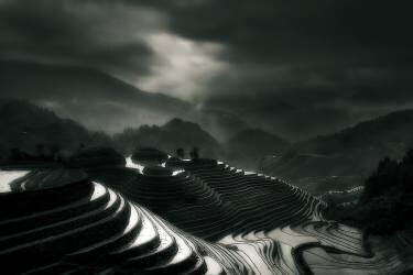 The rice fields (Fabrizio Massetti) - Muzeo.com