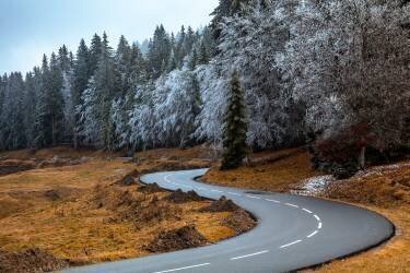 The road and the frozen trees (Visions Paralleles) - Muzeo.com