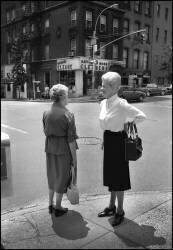 The shop around the corner-NY 83 (Pierre-Anthony Allard) - Muzeo.com