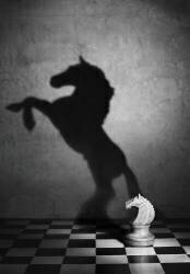 The soul of a mustang (Victoria Ivanova) - Muzeo.com
