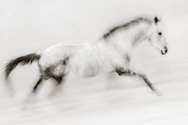 The unique brush stroke (Martine Benezech) - Muzeo.com