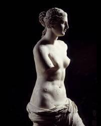 The Venus de Milo Detail of a sculpture depicting Aphrodite in marble (anonymous) - Muzeo.com