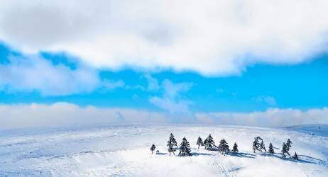 The winter light that shines on (Yuusuke Hisamitsu) - Muzeo.com