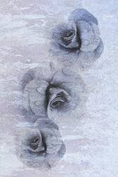 Traces of fading beauty (Ludmila Shumilova) - Muzeo.com