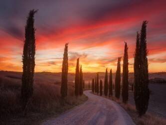 Tuscany sunset (Rostovskiy Anton) - Muzeo.com