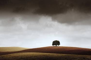 Tuve Que Pararme al Verla (Alberto Merchán) - Muzeo.com