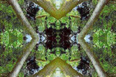 Unnatural 65 (Giovanni Cafagna) - Muzeo.com