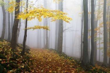 Untitled (Martin Rak) - Muzeo.com