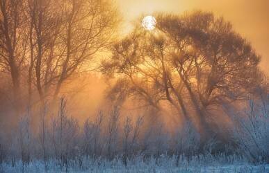 Warm and cold (Keller) - Muzeo.com