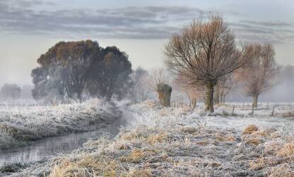 Warmth - cold (Roman Lipinski) - Muzeo.com