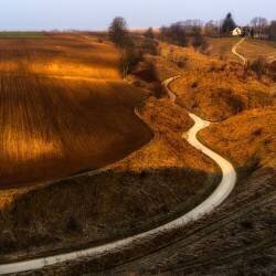 Way home (Slawomir Kowalczyk) - Muzeo.com