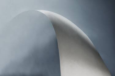 White bow (Gilbert Claes ) - Muzeo.com
