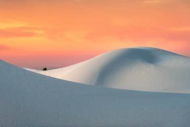 White Sands (Aidong Ning) - Muzeo.com