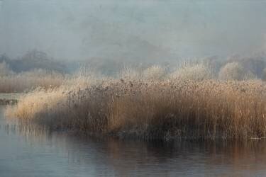 Winter in holland (Annie Keizer) - Muzeo.com