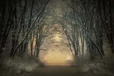 Winter story (Adela Lia) - Muzeo.com