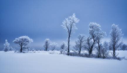 Winterland (Christian Duguay) - Muzeo.com