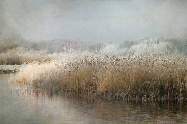 Wintermorning (Nel Talen) - Muzeo.com