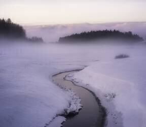 Winters mystique (Christian Lindsten) - Muzeo.com