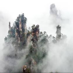 Zhangjiajie (Hua Zhu) - Muzeo.com