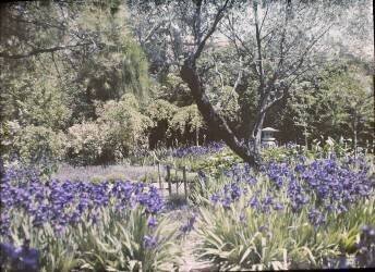 Beaulieu, villa Salles, jardin japonais (anonyme) - Muzeo.com