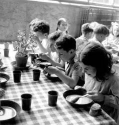 Cantine de l'école primaire à Suresnes (Rue des Archives) - Muzeo.com
