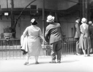 Dans le jardin zoologique de Berlin (Tina Modotti) - Muzeo.com