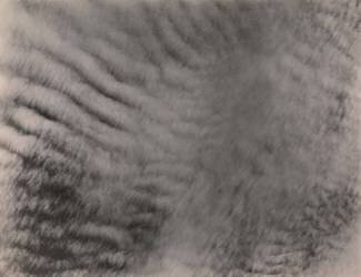 Equivalents (Alfred Stieglitz) - Muzeo.com