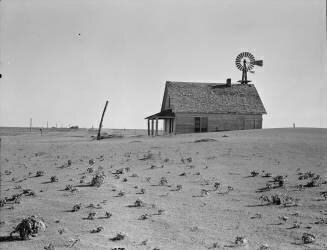 Ferme dans un désert aride au Texas (Dorothea Lange) - Muzeo.com