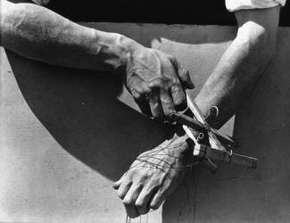 Les mains du marionnettiste (Tina Modotti) - Muzeo.com
