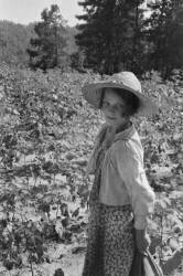 Lucille Burroughs, Hale County, Alabama (Walker Evans) - Muzeo.com