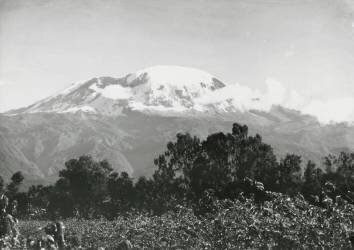 La montagne du Kilimanjaro en Tanzanie en 1920 (anonyme) - Muzeo.com