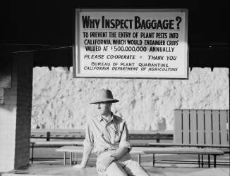 Poste de contrôle sanitaire à Yuma, Arizona (Dorothea Lange) - Muzeo.com