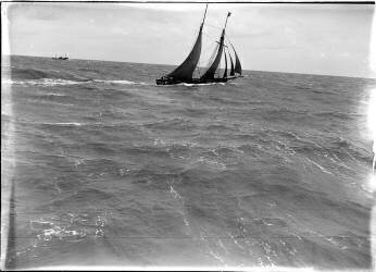 Régate de voile à la côte belge (Germaine van Parys) - Muzeo.com