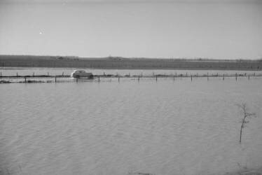 Untitled photo, possibly related to: The Bessie Levee augmented with sand bags during the 1937 flood near Tiptonville, Tennessee (Walker Evans) - Muzeo.com