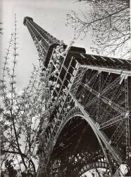 La tour Eiffel vue d'en bas (Paul Joseph Albert Chevojon) - Muzeo.com