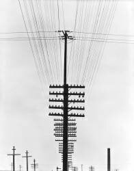 Telegraph Wires (Tina Modotti) - Muzeo.com
