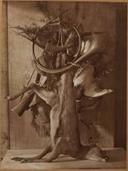 Trophée de chasse à la biche (Adolphe Braun) - Muzeo.com