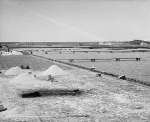 Salines et cuves de raffinage, Mexique (William Henry Jackson) - Muzeo.com