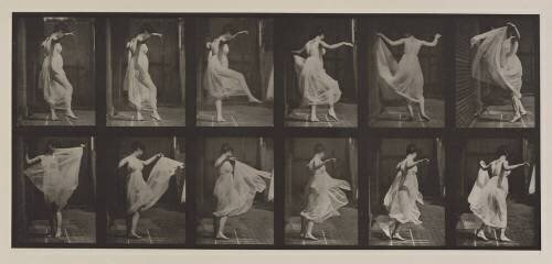 Animal Locomotion : Danse (fantaisie) (Eadweard Muybridge) - Muzeo.com