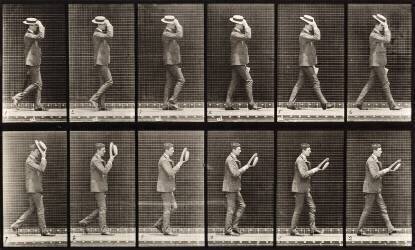 Animal Locomotion : Homme au chapeau marchant (Eadweard Muybridge) - Muzeo.com