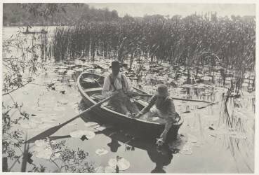 Gathering Water Lilies (Peter Henry Emerson) - Muzeo.com
