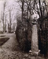 Jardins de Versailles : vue du bosquet de l'Arc de Triomphe en 1904 (Eugène Atget) - Muzeo.com